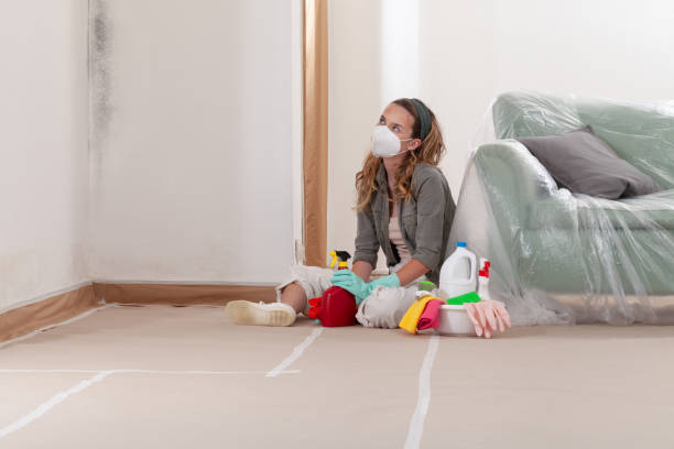 Reliable Mold Remediation contractor in Billerica, MA by Mold Remediation HQ